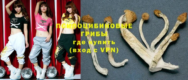 мяу мяу мука Карталы