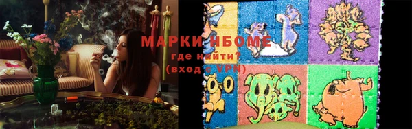 соль ск Каменногорск