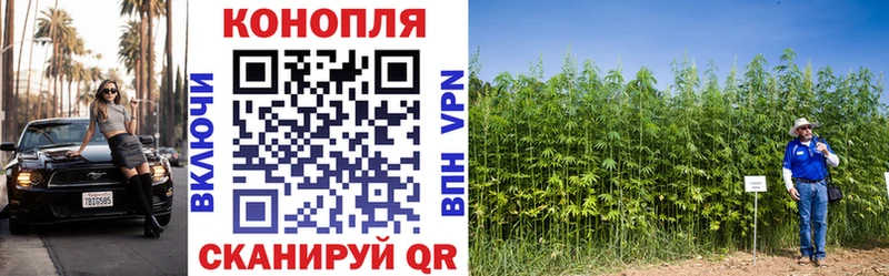 Канабис планчик Карпинск